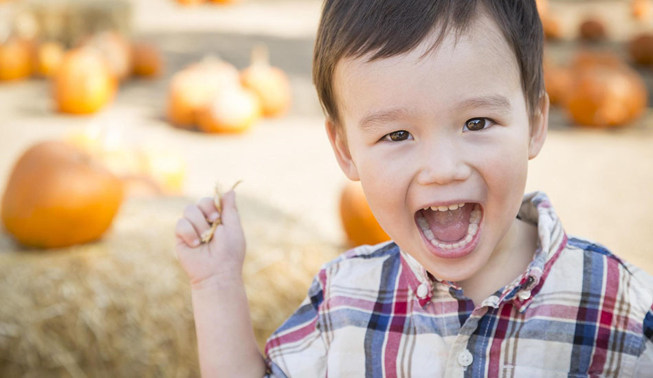 Pediatric Dentistry